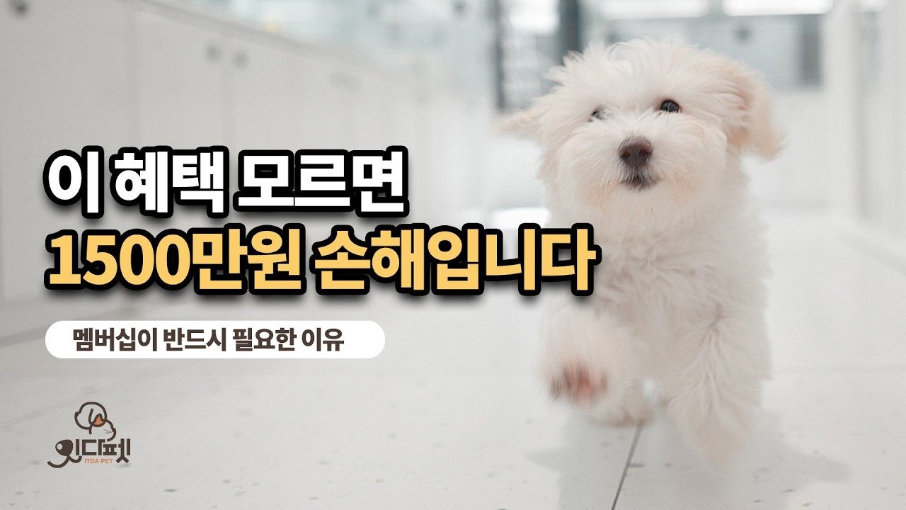 케어잇다 멤버십을 만든 이유