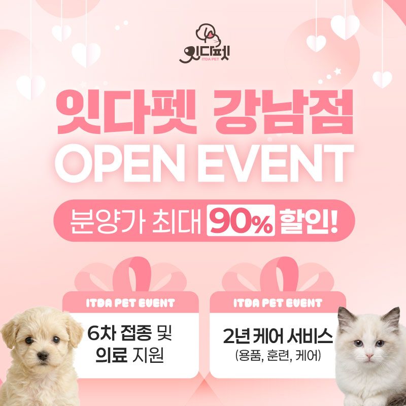 잇다펫 🤍잇다펫 강남점 오픈이벤트🤍 사진 1